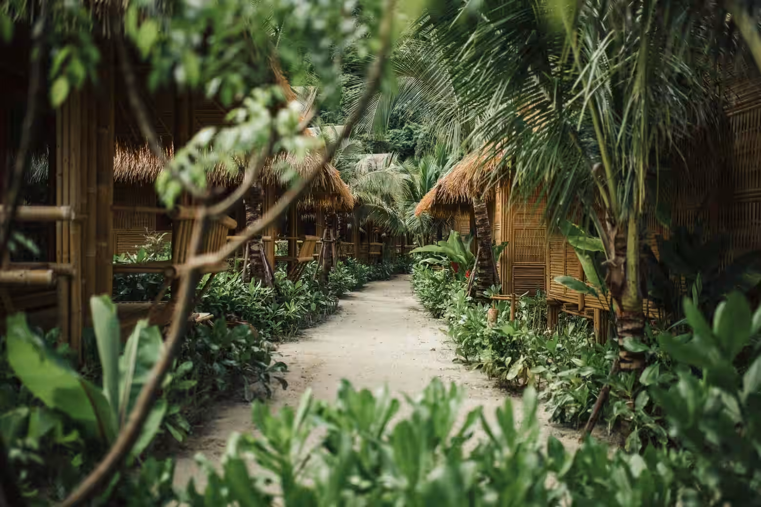 Hotels in Ko Phi Phi
