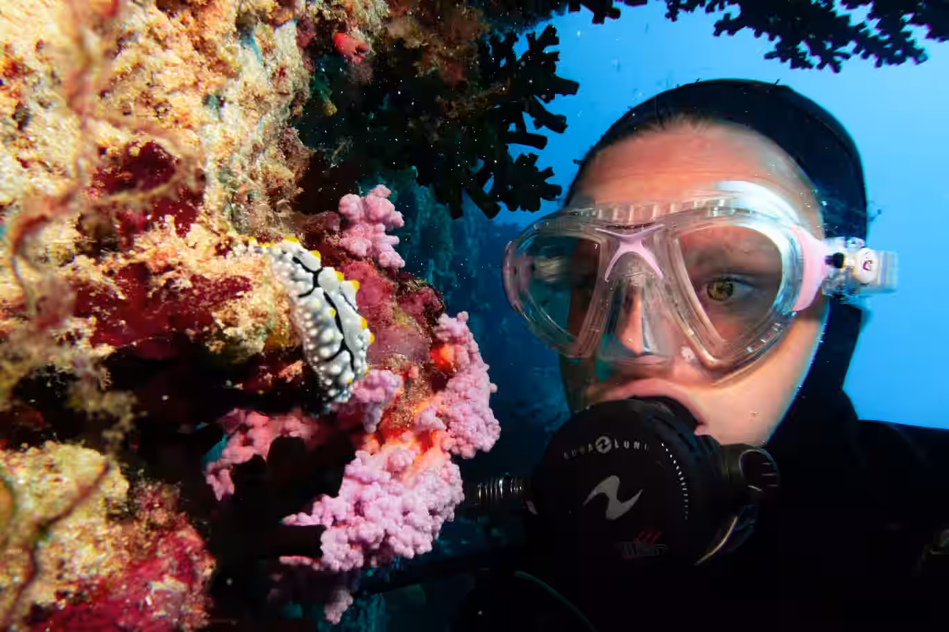 Scuba Diver Snorkeling Underwater on Coral Reef in Ko Phi Phi