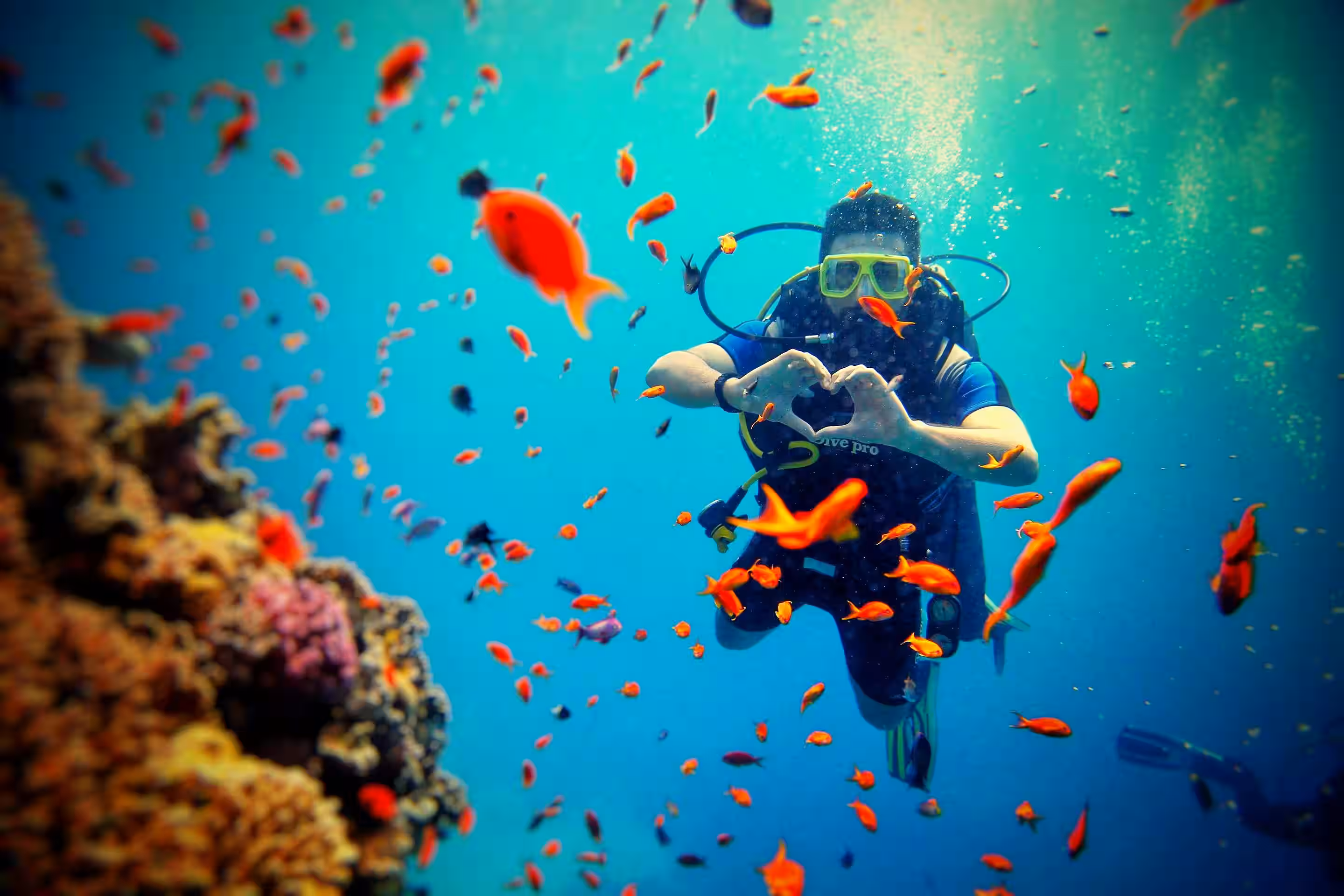 Scuba Diver Exploring Vibrant Coral Reef in Ko Phi Phi

